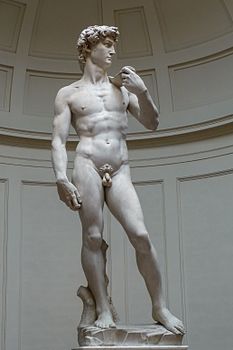 Michelangelo Buonarroti: il David (da Loescher)