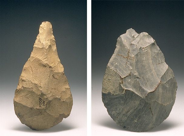 La lavorazione della amigdala